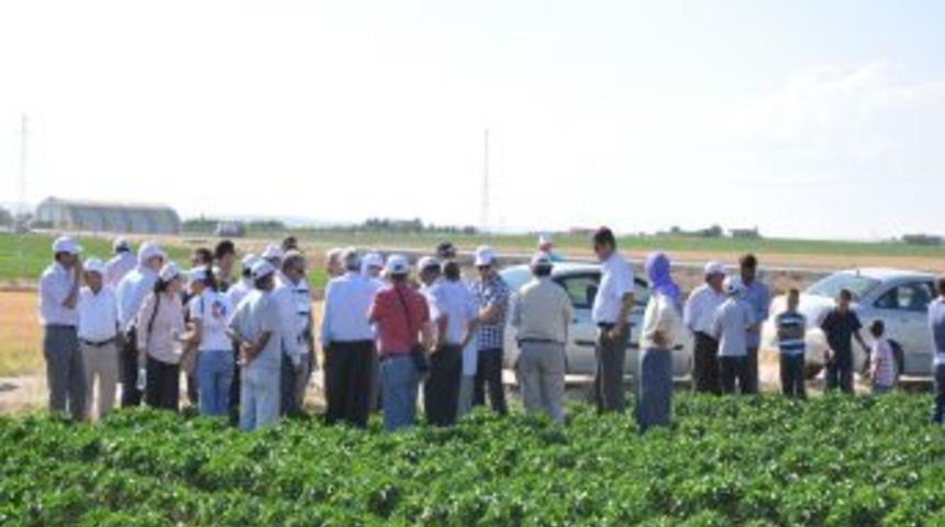 GAP &Ccedil;ift&ccedil;isi Modern Tarım Teknikleri Ile Alternatif &Uuml;r&uuml;nlere Y&ouml;nlendiriliyor