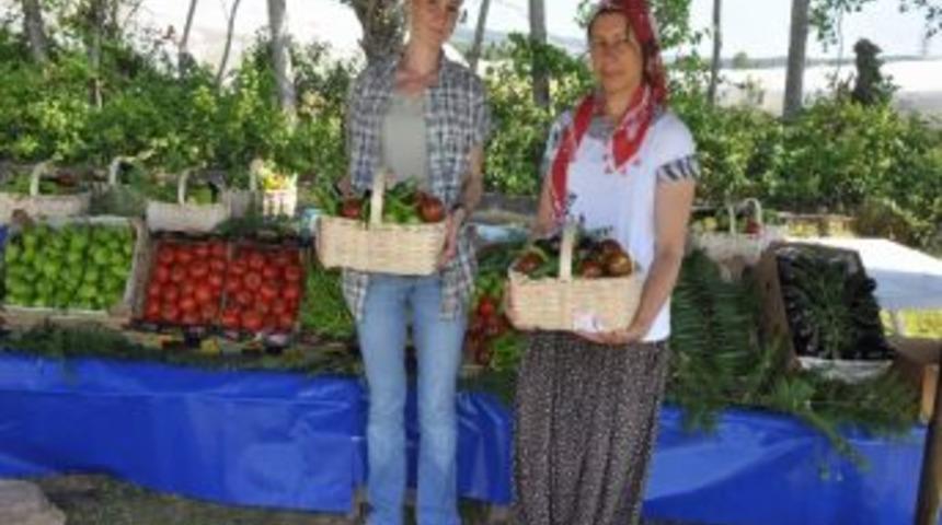 Bayraktar K&ouml;y&uuml;&rsquo;n&uuml;n Seraları İlk &Uuml;r&uuml;nlerini Verdi