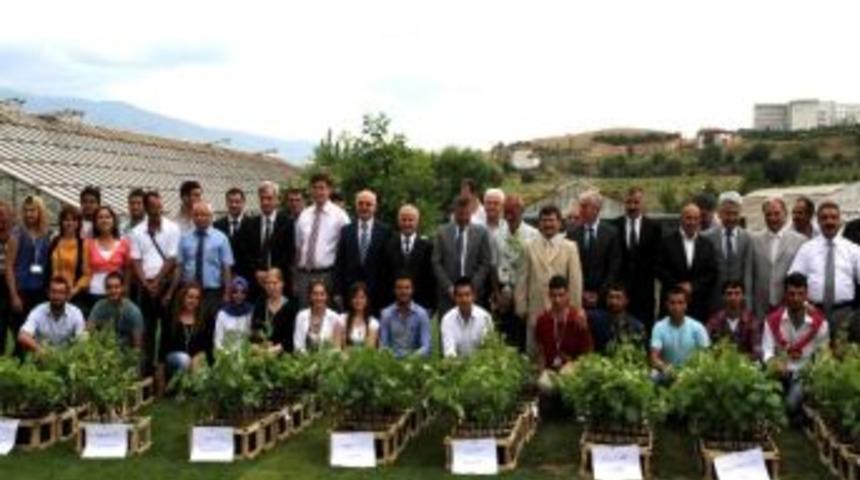 Tokat'ta 2 Bin 800 Adet T&uuml;pl&uuml; Asma Fidanı Dağıtıldı
