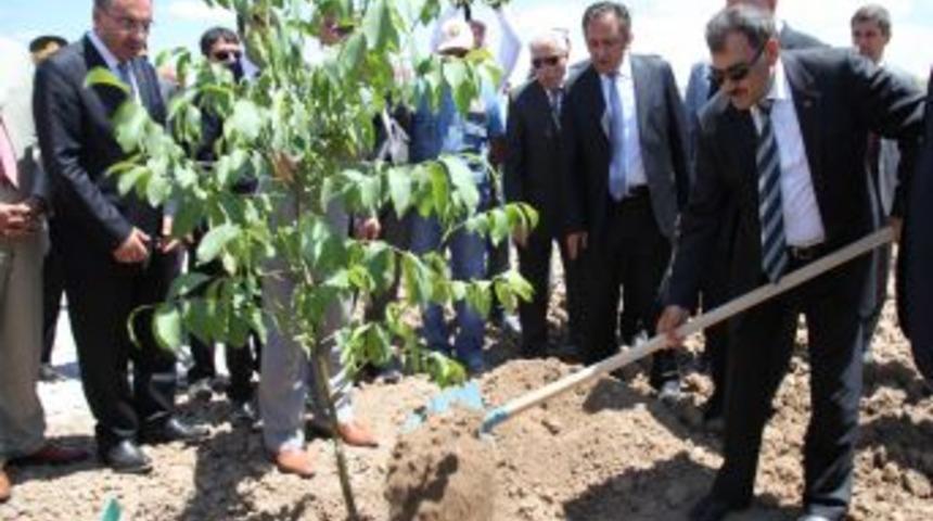 Bakan Eroğlu: Bozuk Ormanlara Ceviz Dikip 49 Yıllığına K&ouml;yl&uuml;ye Kiralayacağız