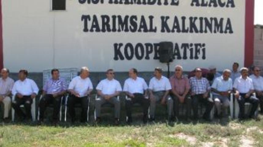 Aksaray'da &Ccedil;ift&ccedil;ilere Damızlık Gebe D&uuml;ve Dağıtıldı