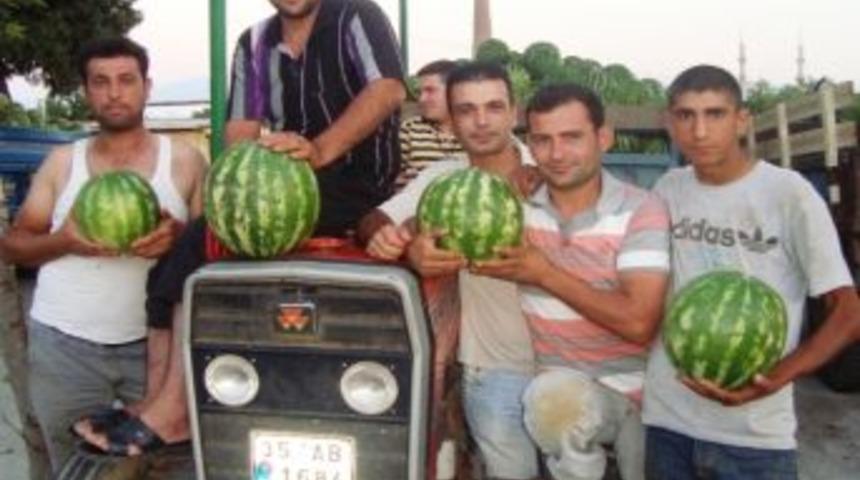 &Ouml;demiş&rsquo;te Patatesten Sonra Kapuz Sıkıntısı Yaşanıyor