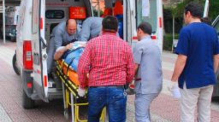 Osmancık'ta inek, sahibini hastanelik etti