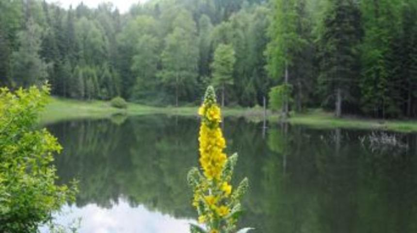 Torkul Yaylası Ve G&ouml;leti B&uuml;y&uuml;l&uuml;yor