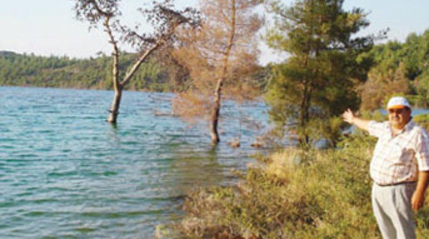 Hayvanlar i&ccedil;emez insan i&ccedil;ebilir!