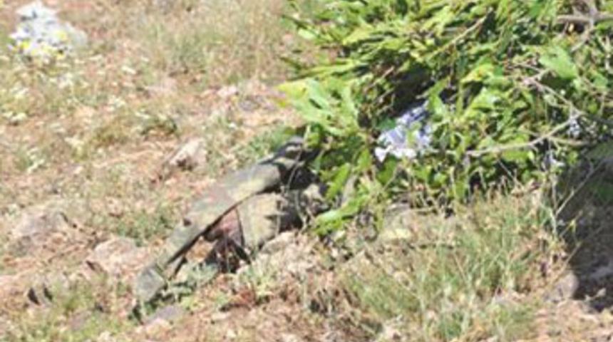 Şırnak&rsquo;ta mayın patladı: 1 şehit