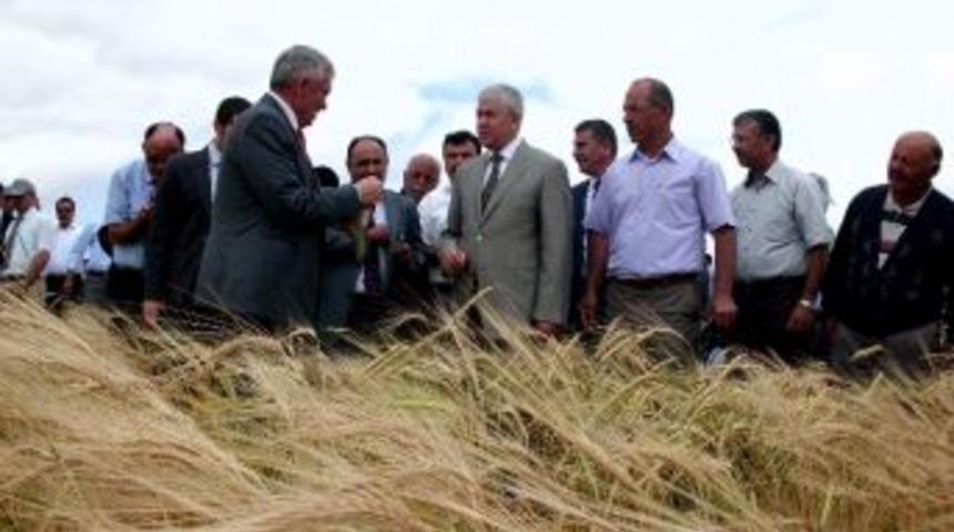 Tarla G&uuml;n&uuml; Mucur İl&ccedil;esinde Ger&ccedil;ekleştirildi