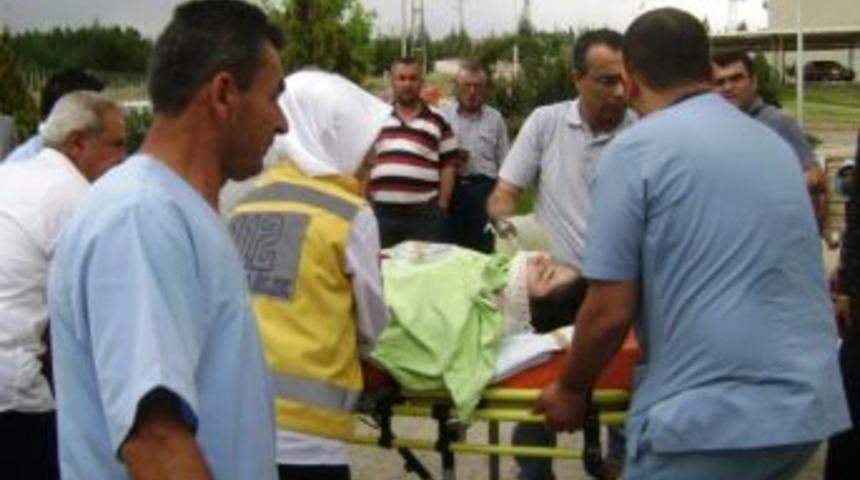 O G&uuml;l Artık A&ccedil;mayacak