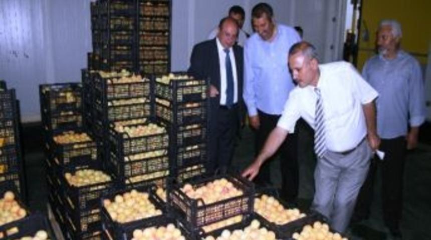 Vali &Ccedil;i&ccedil;ek Soğuk Hava Ve Paketleme Tesislerini Gezdi