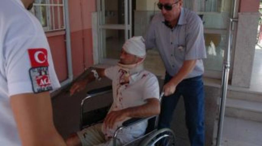 K&ouml;peğe &Ccedil;arpmamak I&ccedil;in Canından Oluyordu