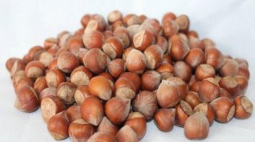 Doğu Karadeniz&rsquo;de Organik Tarım Artıyor