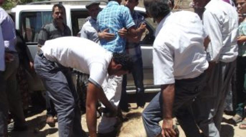 PKK'nın Serbest Bıraktığı Asker, Kurban Kesilerek Karşılandı