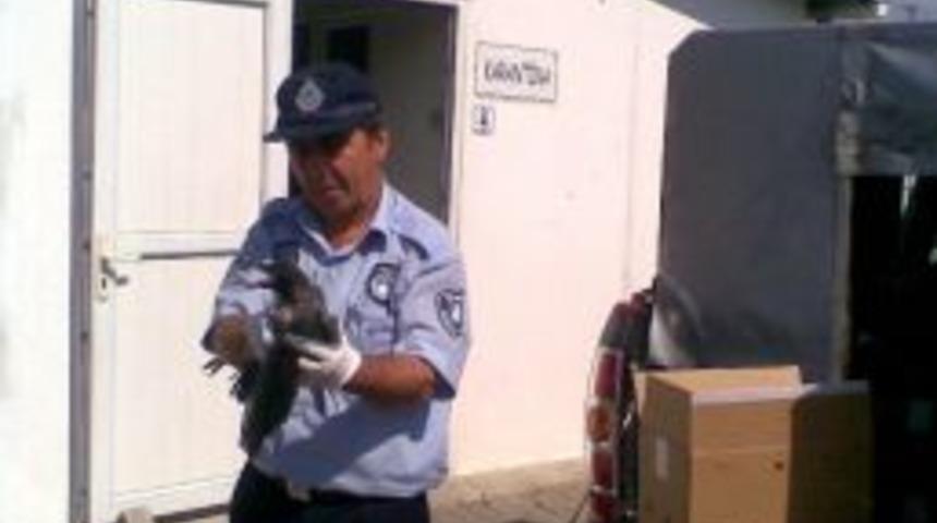 Zabıta'dan &Ouml;rnek Davranış