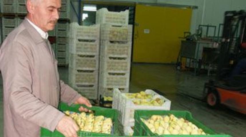 Tarımsal &uuml;retim i&ccedil;in ihracat şart