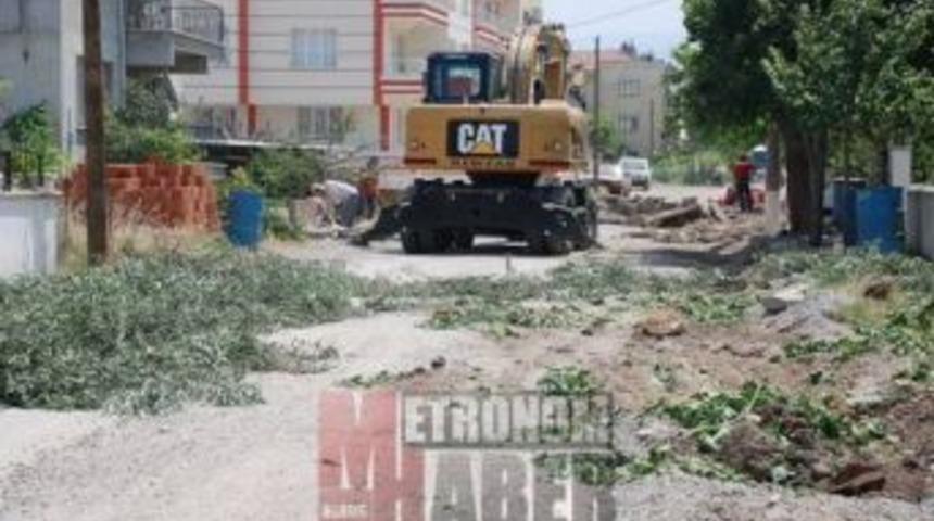 Kaldırım yapıyoruz diye ağa&ccedil;lar kesiliyor