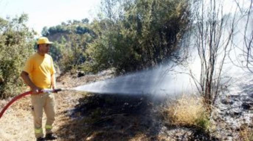 Anız Yangını 10 D&ouml;n&uuml;m Zeytinliği Yaktı