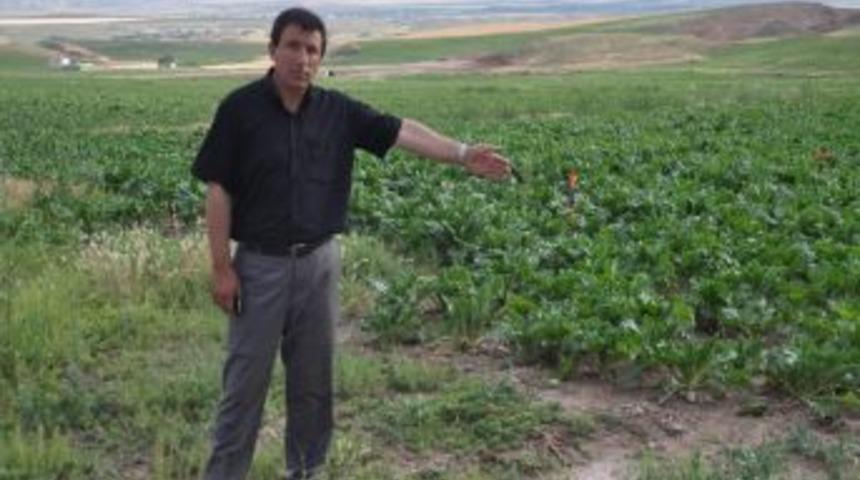 Yerk&ouml;y Ziraat Odası: İl&ccedil;emizde Alternatif &Uuml;r&uuml;nlere Y&ouml;neliş Arttı