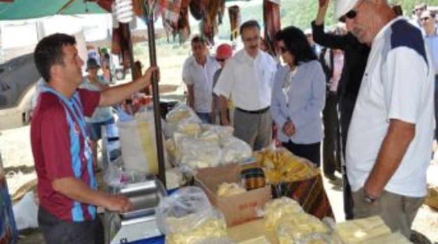 Delmece Yaylası 4 Mevsim İlgi Odağı Olacak