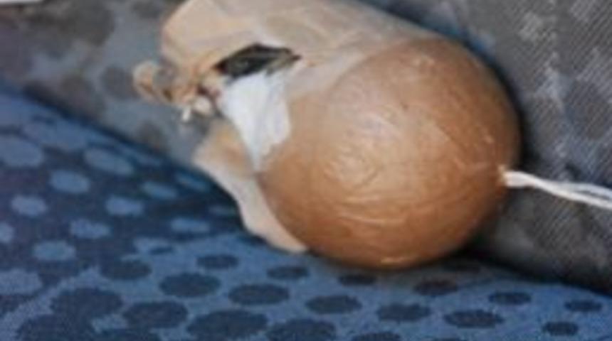 Havai Fişek Bomba Paniğine Sebep Oldu