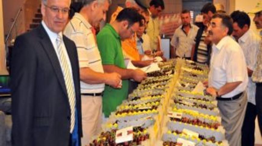 Akşehir Kirazı Festivali Başladı