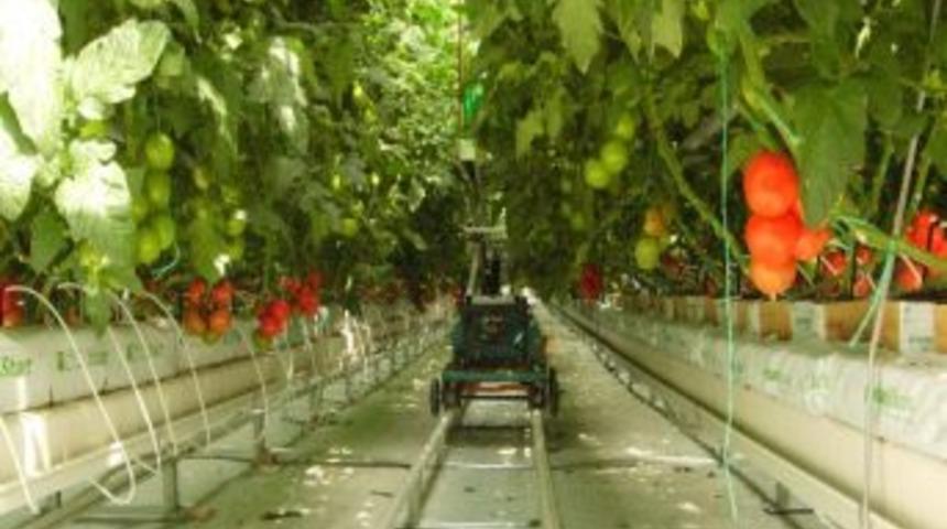 İyi Tarım Yapan Desteklenecek