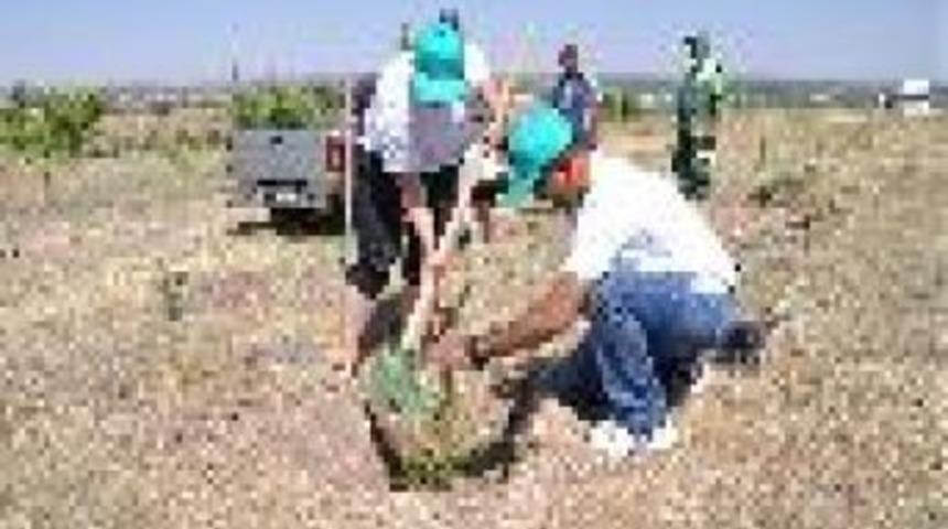 Konya'nın Avrupalı Misafir Gen&ccedil;leri Fidan Dikti