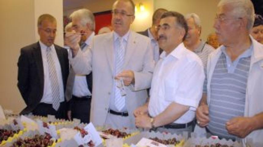 Akşehir Kiraz Festivali Başladı
