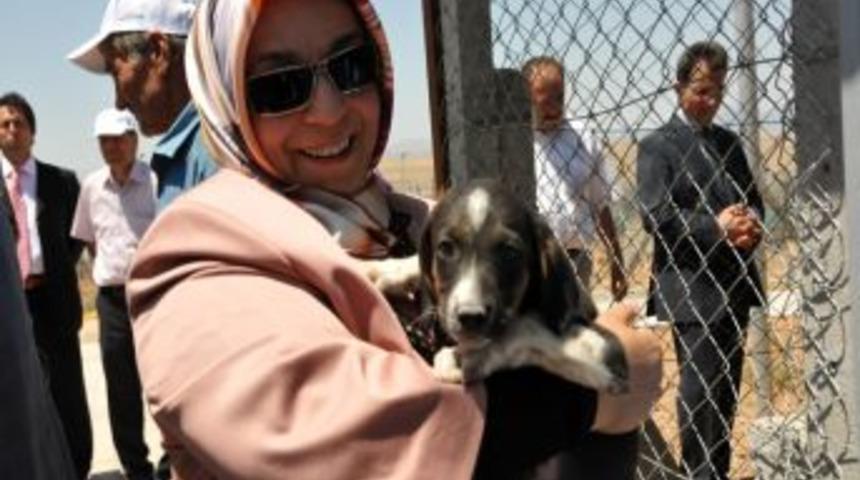 "Sokak Hayvanlarına Sahip &Ccedil;ıkılmalı"