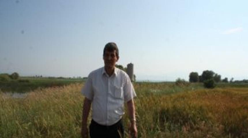 H&uuml;y&uuml;k&rsquo;teki R&uuml;zgar Enerjisi Potansiyeli Sulamada Kullanılacak