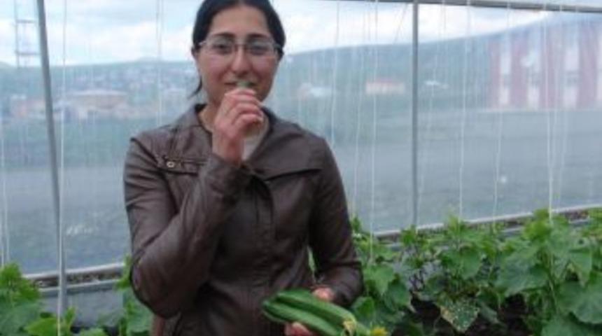 Kaymakam'ın Kurduğu Serada 20 Vatandaş Eğitim Aldı