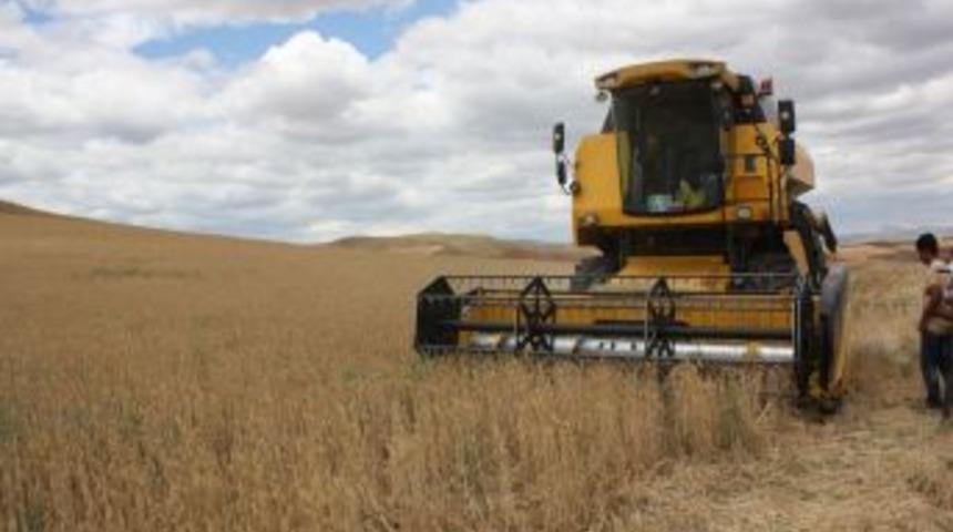 Kırıkkale&rsquo;de Hasat D&ouml;nemi Başladı
