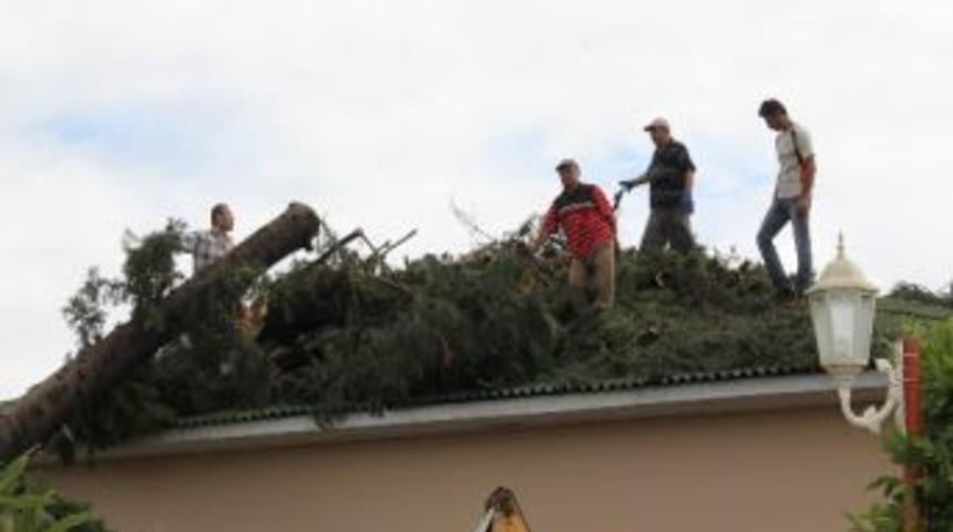 5 Dakikalık Fırtına Yıktı Ge&ccedil;ti