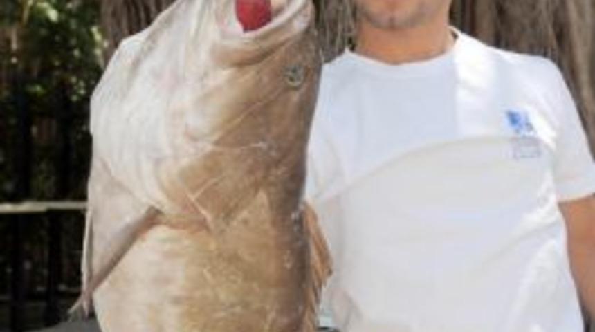 Sideli Balıkçının Oltasına 'Akdeniz Kuzusu' Takıldı