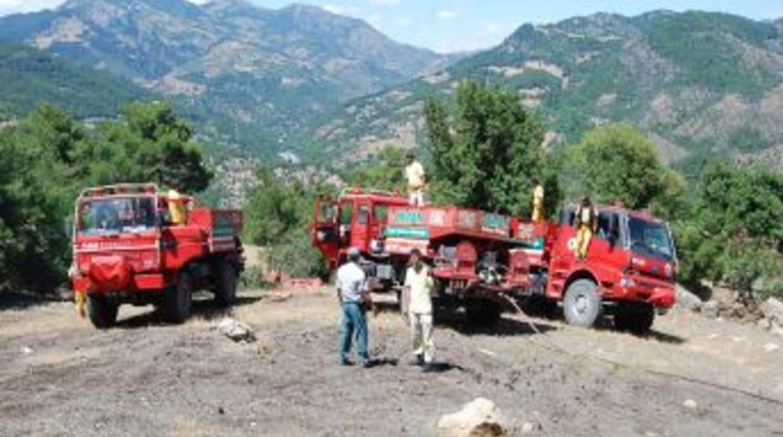 Adana'nın Kozan Il&ccedil;esinde Orman Yangını