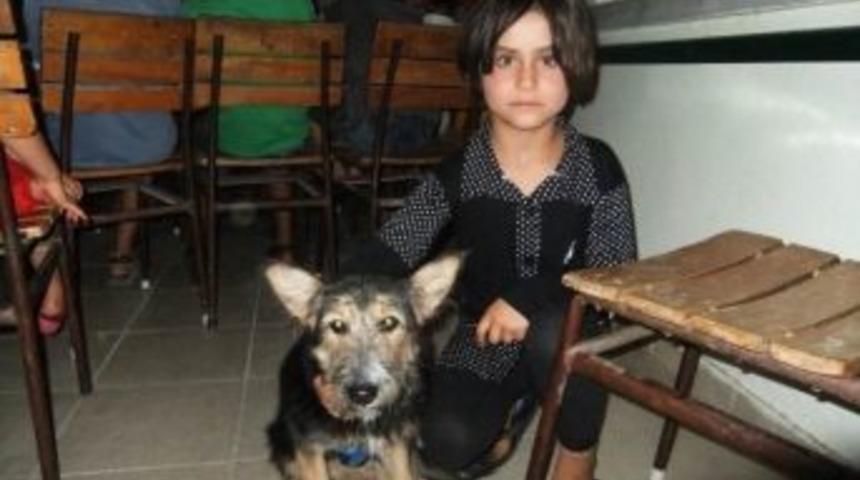 "bizim K&ouml;y&uuml;n &Ccedil;ocukları Projesi"