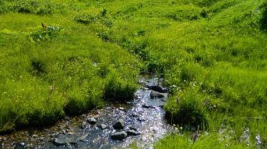 Keşfedilmemiş Saklı Cennet Urema Yaylası