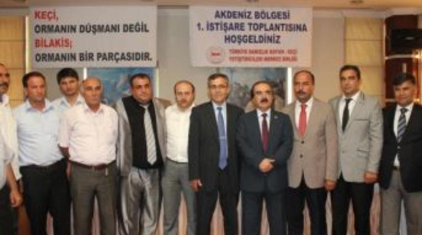Adana&rsquo;da K&uuml;&ccedil;&uuml;k Baş Hayvancılık Masaya Yatırıldı