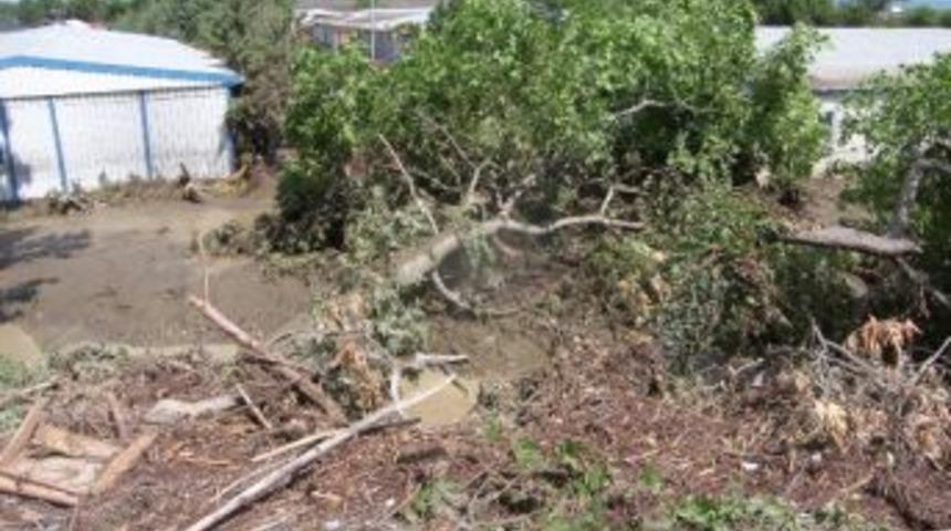 Sinop'ta Sel Suları Karayolunu Kapattı