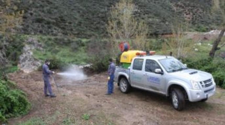 &Ccedil;ayorova Belediyesi İla&ccedil;lama &Ccedil;alışmalarına Hız Verdi