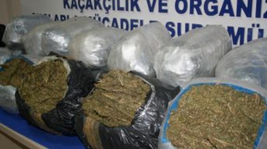 Balık Yemlerinin I&ccedil;inde Esrar &Ccedil;ıktı
