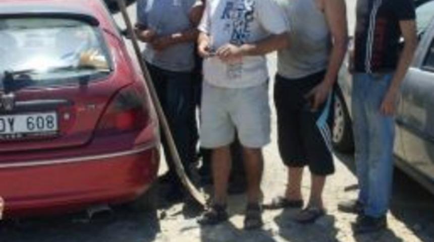 Edremit&rsquo;te Yılan Paniği