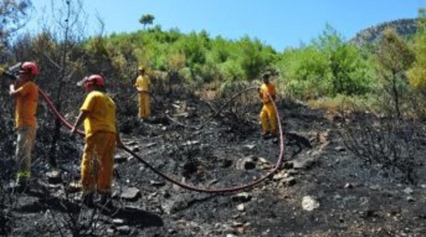 Milas&rsquo;ta Orman Yangını