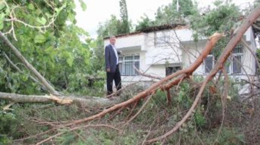 Fırtınadan Zarar G&ouml;ren &Ccedil;arşamba&rsquo;da Zarar Tespit &Ccedil;alışmaları S&uuml;r&uuml;yor