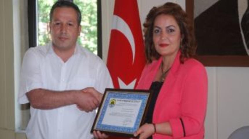 Giresun &Uuml;niversitesi&rsquo;nin İsminin &Ouml;ner Hekim, Tıp Fak&uuml;ltesi'nin İsminin İse &Ouml;mer Hekim Olması D&uuml;ş&uuml;n&uuml;l&uuml;yor