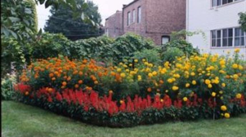 Kartal&rsquo;da balkon ve bah&ccedil;eler yarışacak