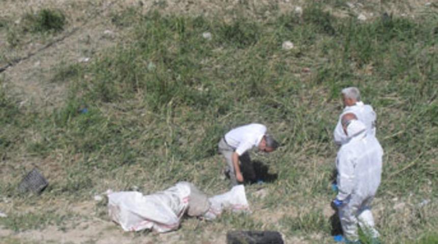 Ters ilişki cinayeti