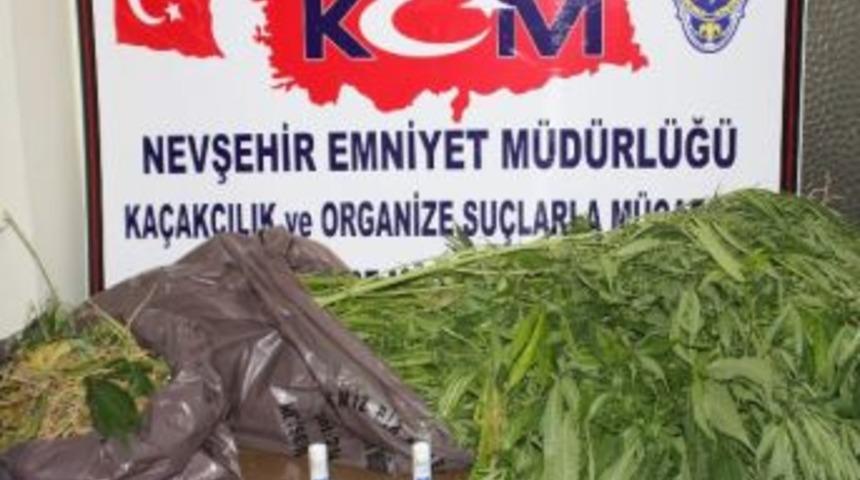 G&uuml;lşehir&rsquo;de 41 K&ouml;k Hint Keneviri Ve 506 Gram Esrar Maddesi Ele Ge&ccedil;irildi