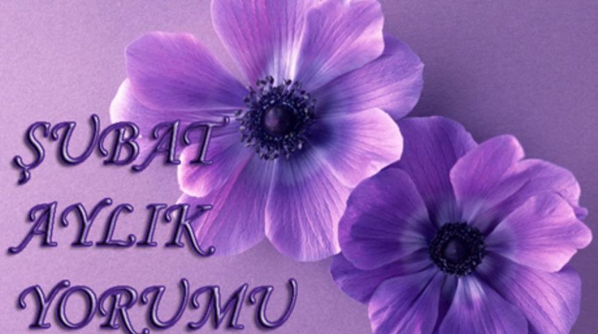 Şubat 2015 aylık bur&ccedil; yorumları