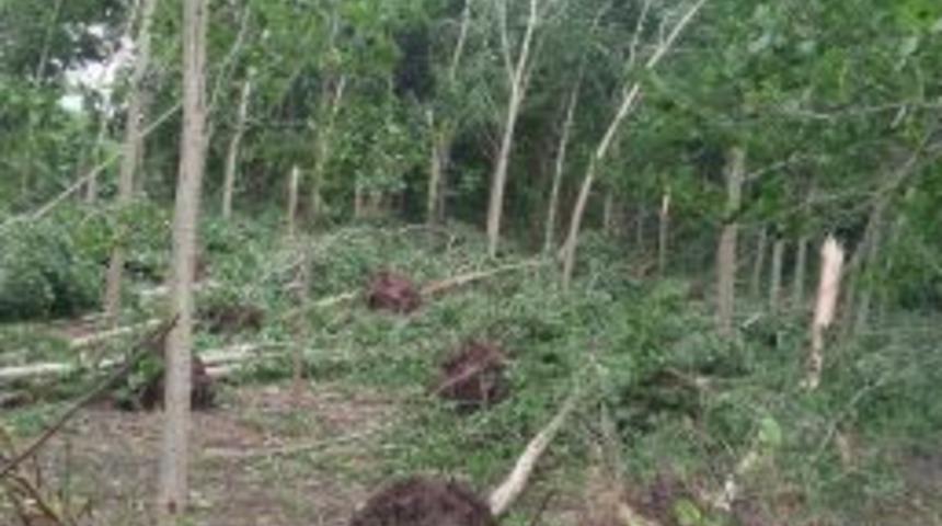 &Ccedil;arşamba&rsquo;da Hasar Tespit &Ccedil;alışması