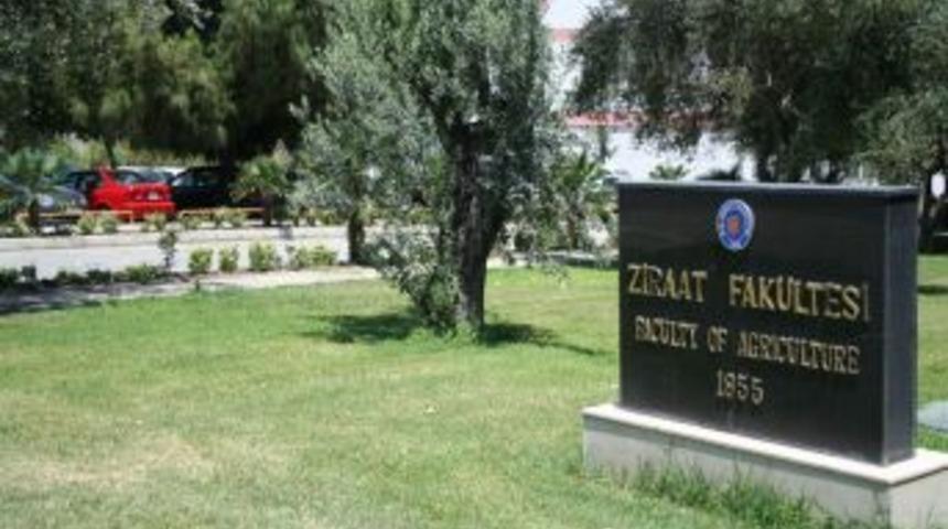 &Uuml;niversite Bah&ccedil;esinde Dikili Dişi Hint Keneviri Bulundu
